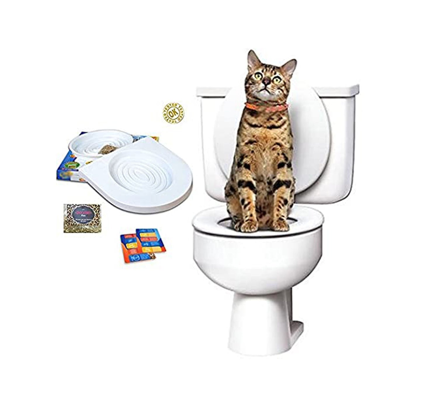 Entrenamiento Baño Para Gatos