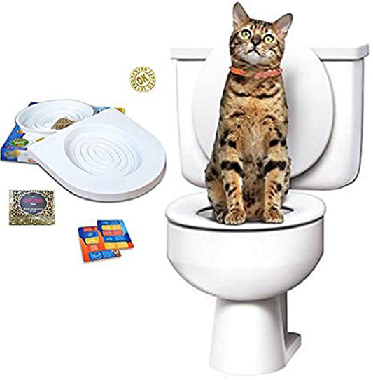 Entrenamiento Baño Para Gatos